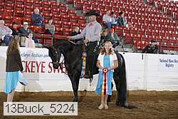 13buck_5224 proof