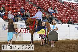 13buck_5226 proof