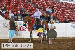 13buck_5227 proof