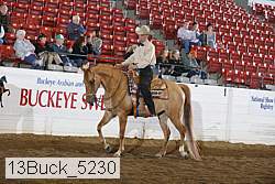 13buck_5230 proof