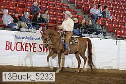 13buck_5232 proof