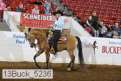 13buck_5236 proof