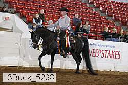 13buck_5238 proof
