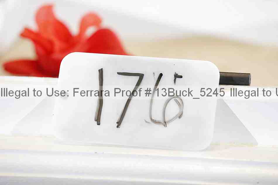 Proof 13buck_5245