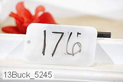 13buck_5245 proof