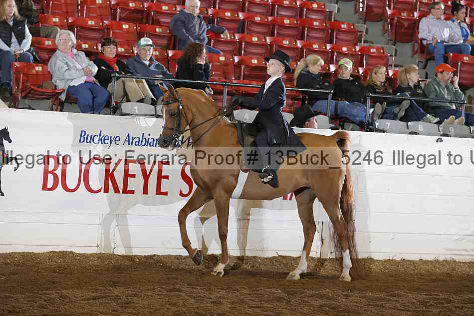 Proof 13buck_5246