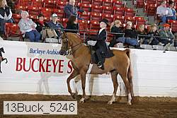 13buck_5246 proof
