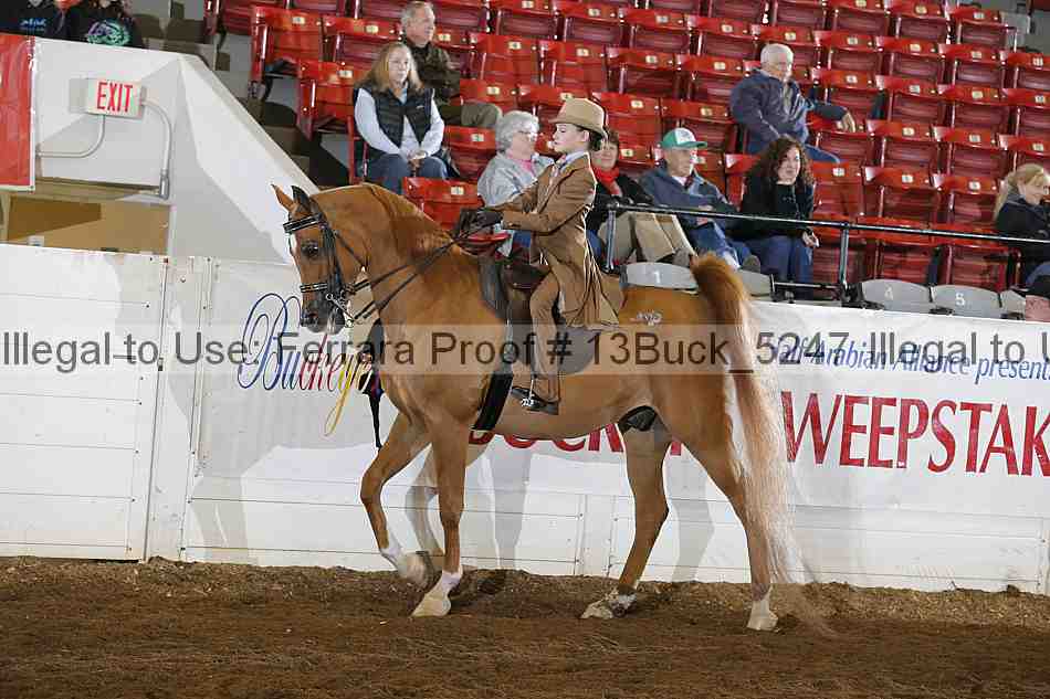 Proof 13buck_5247