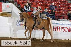 13buck_5247 proof