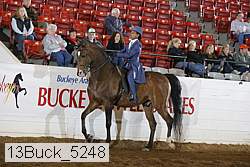 13buck_5248 proof