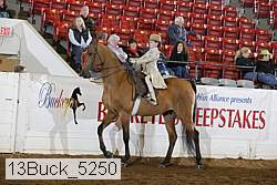 13buck_5250 proof