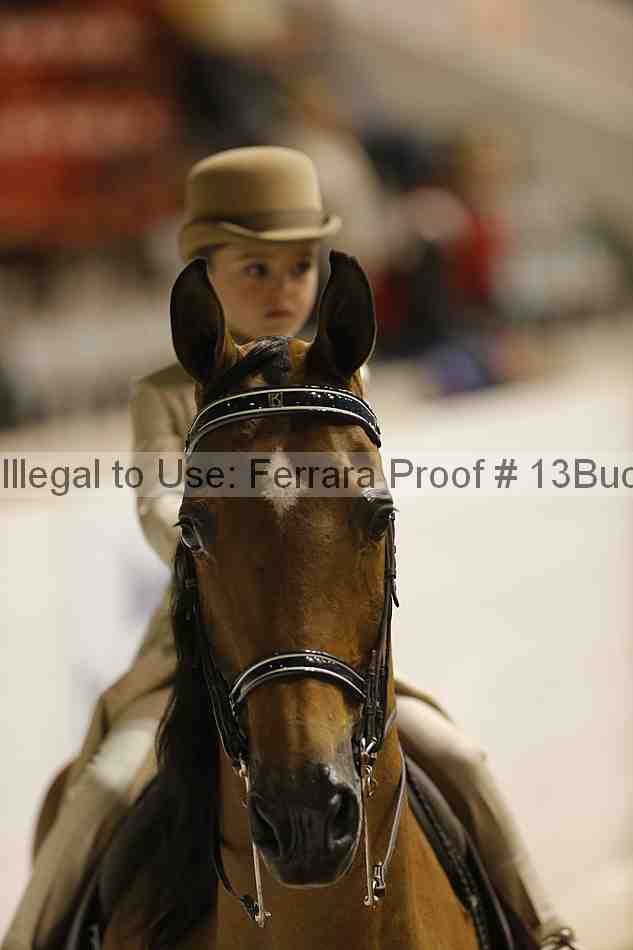 Proof 13buck_5255