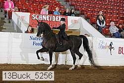 13buck_5256 proof