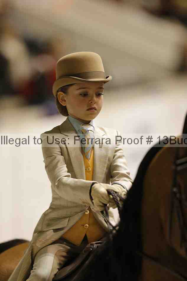 Proof 13buck_5257