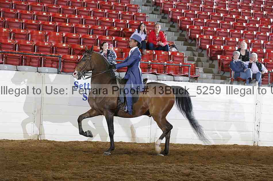 Proof 13buck_5259
