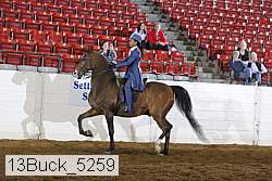 13buck_5259 proof