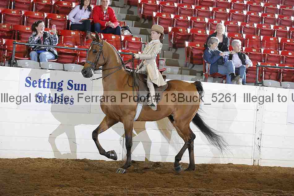 Proof 13buck_5261