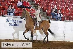 13buck_5261 proof