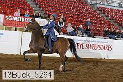 13buck_5264 proof