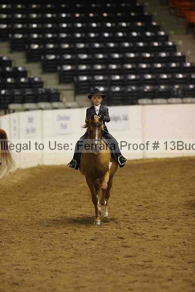 Proof 13buck_5265