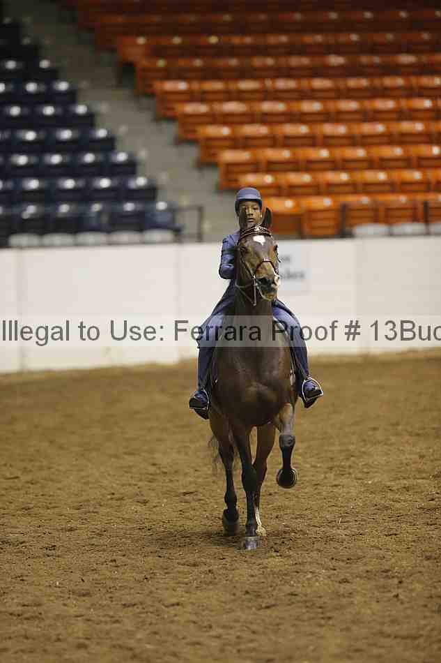 Proof 13buck_5266
