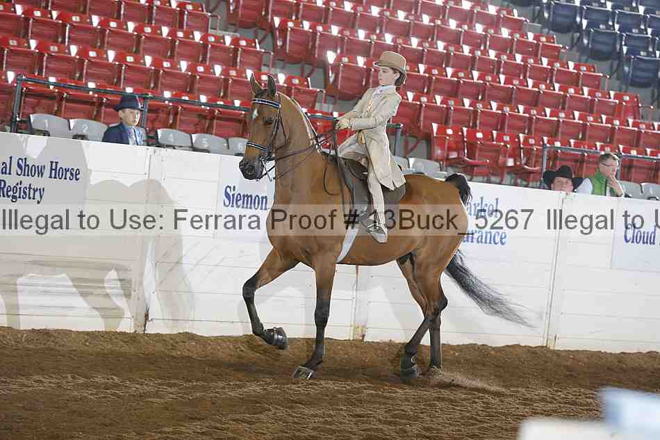 Proof 13buck_5267