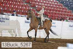 13buck_5267 proof