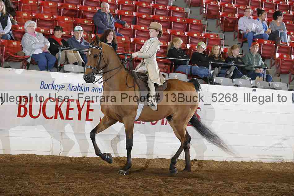 Proof 13buck_5268