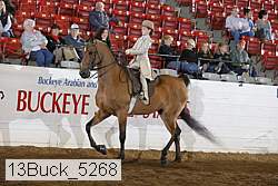 13buck_5268 proof