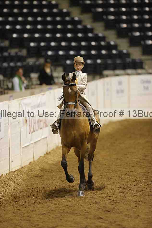 Proof 13buck_5269