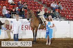 13buck_5273 proof