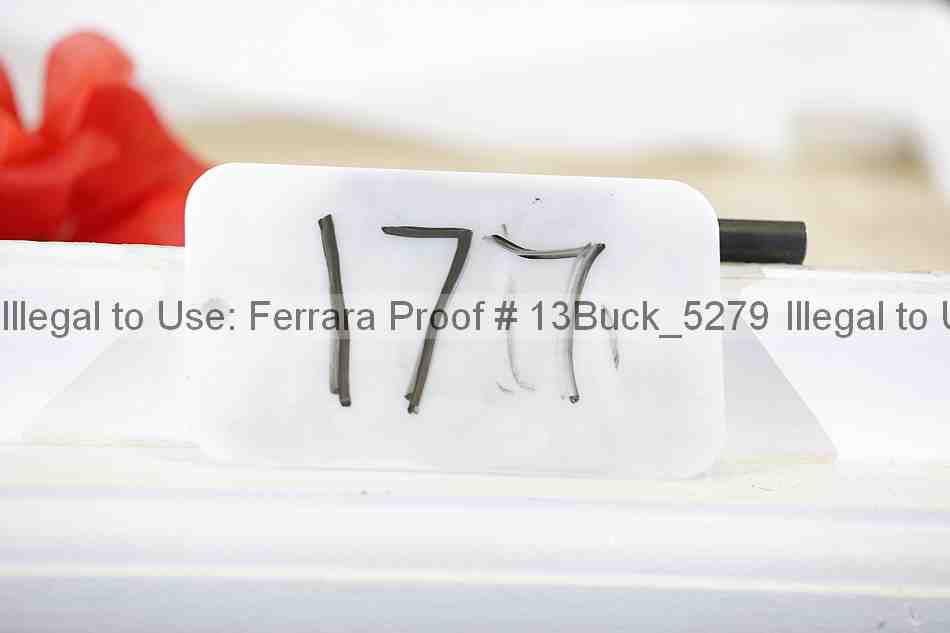 Proof 13buck_5279