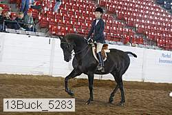 13buck_5283 proof