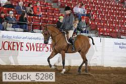 13buck_5286 proof