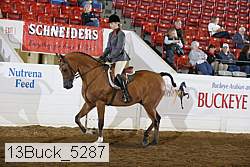 13buck_5287 proof