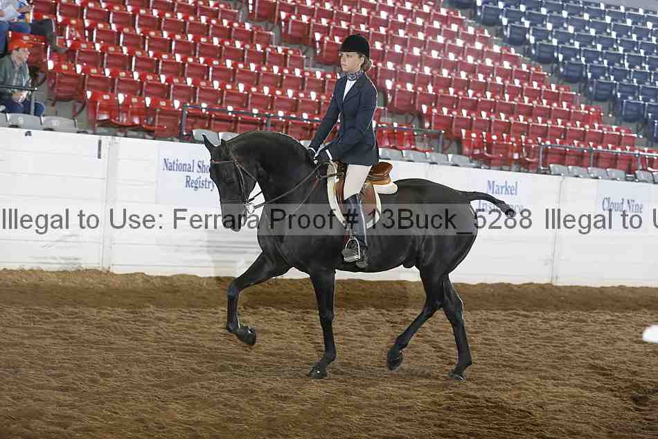 Proof 13buck_5288