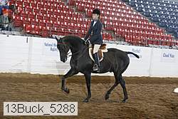 13buck_5288 proof