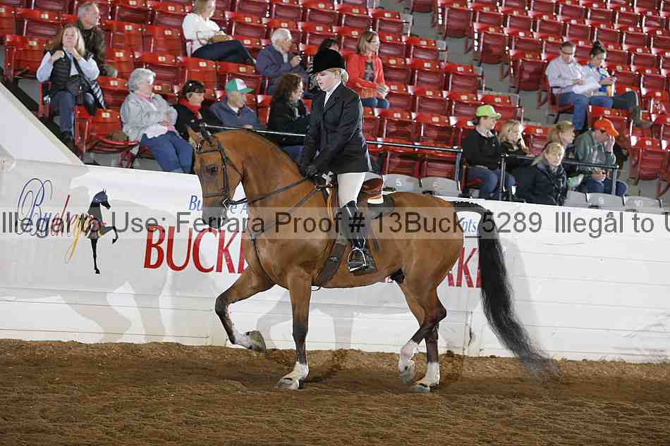 Proof 13buck_5289