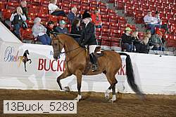 13buck_5289 proof