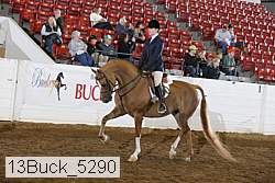 13buck_5290 proof