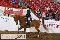 13buck_5291 proof