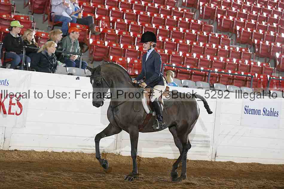Proof 13buck_5292