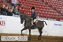 13buck_5292 proof