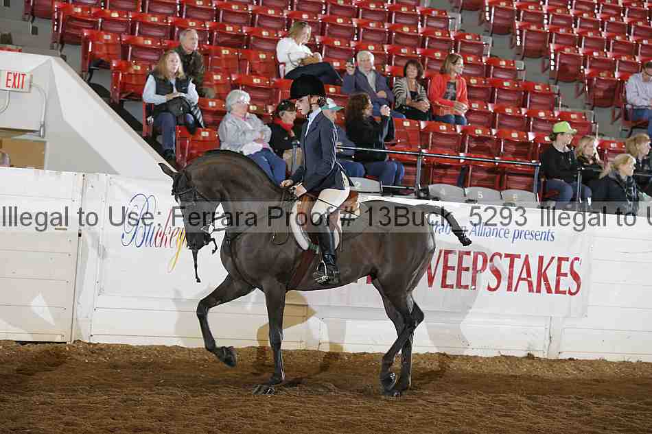 Proof 13buck_5293
