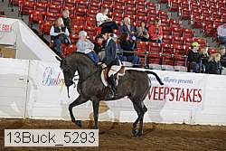 13buck_5293 proof