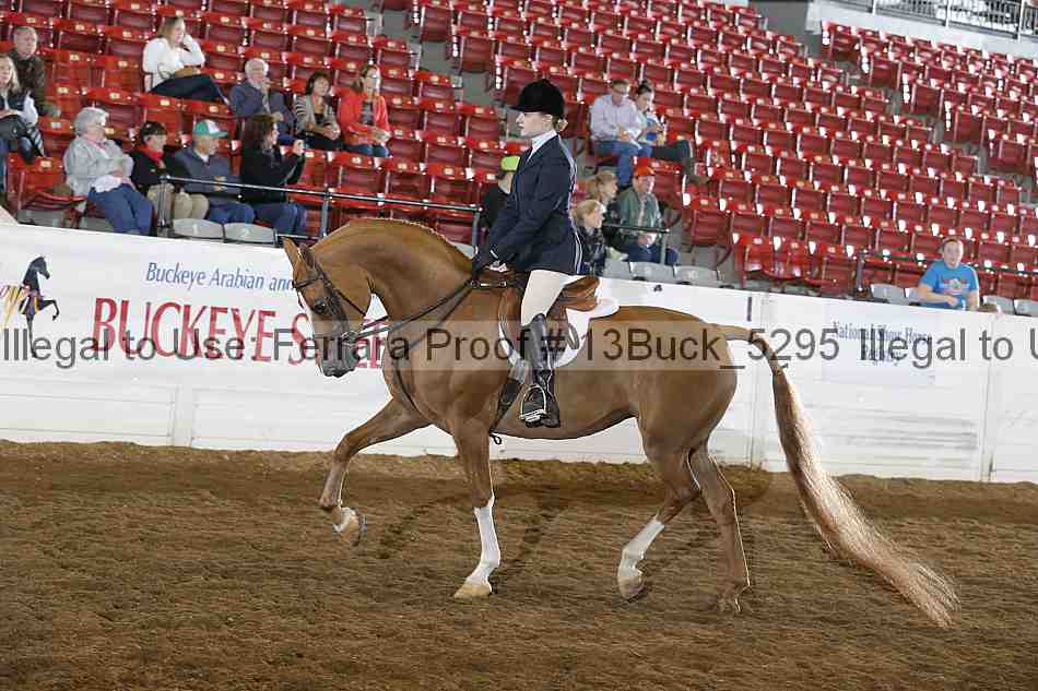 Proof 13buck_5295
