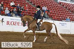 13buck_5295 proof