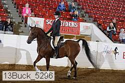 13buck_5296 proof