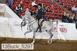 13buck_5297 proof