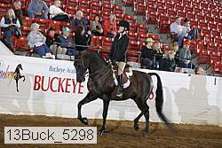 13buck_5298 proof